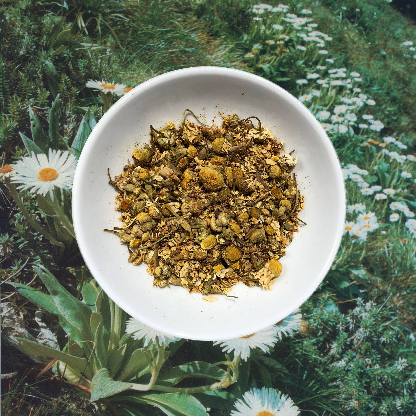 Flowerhead Tea - Chamomillionaires Loose Tea