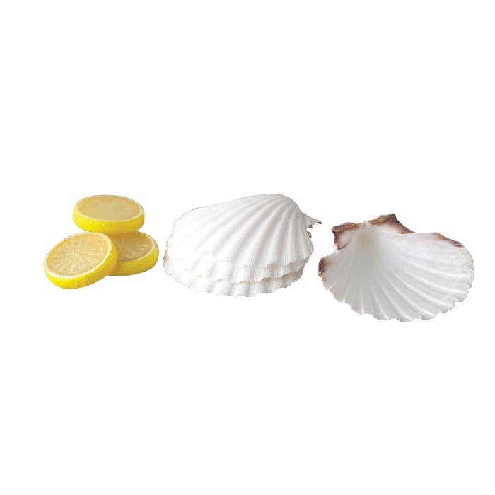 Maine Man Natural Baking Shells, Set of 4