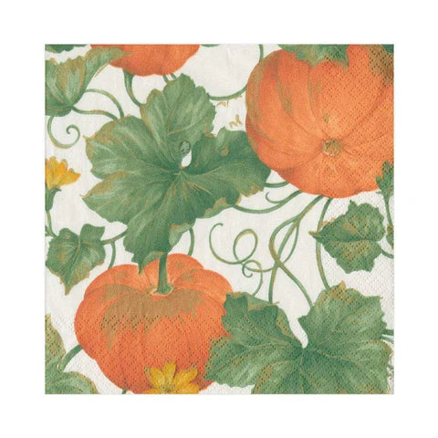 Caspari Heirloom Pumpkins Ivory/Orange Luncheon Napkin, Set of 20