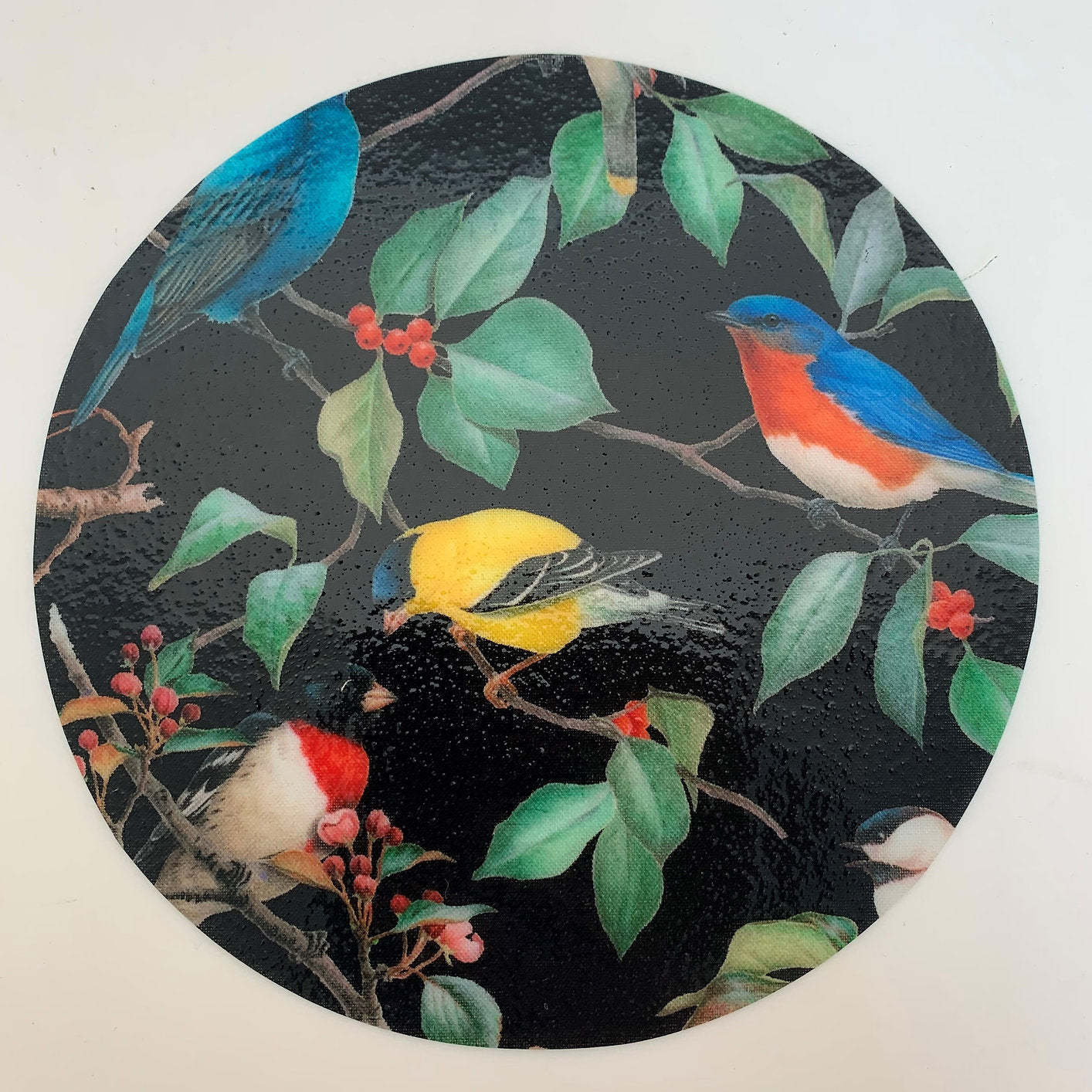 6 Birds Jar Opener