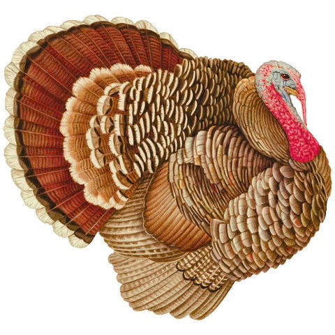 Turkey Paper Placemats, Set of 12