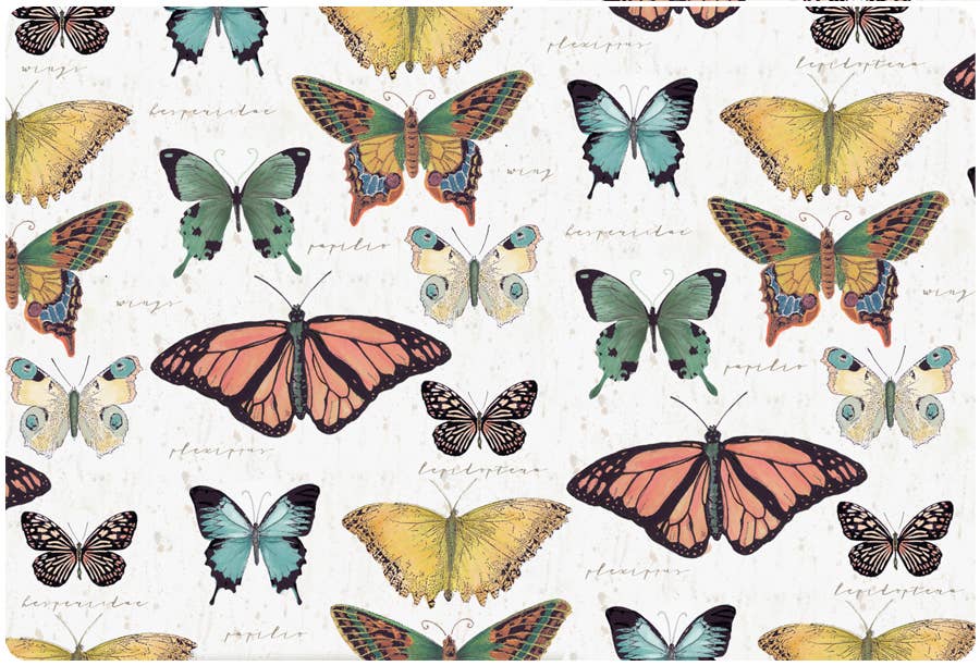 Butterfly Jar Opener