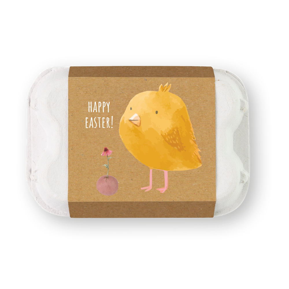 Buzzy Egg Carton, Happy Easter