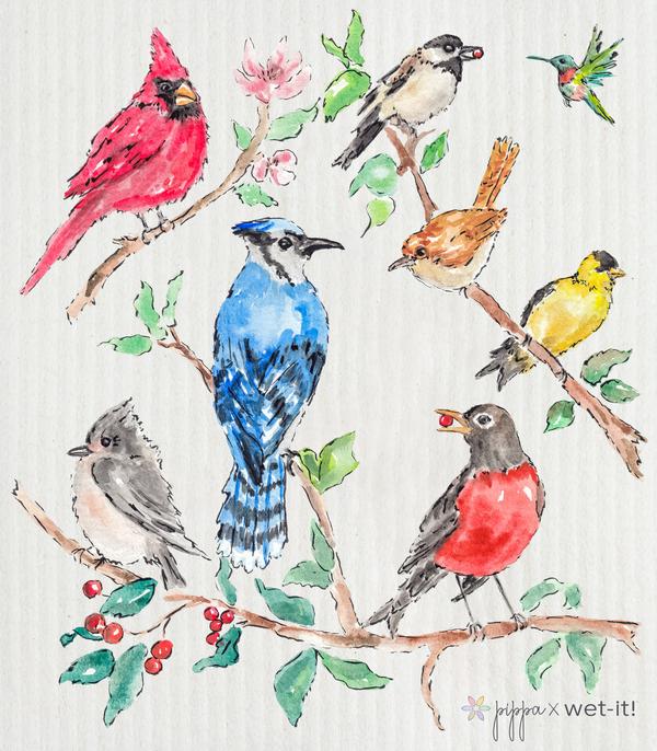 Wet it Backyard Buddies Swedish Dishcloth