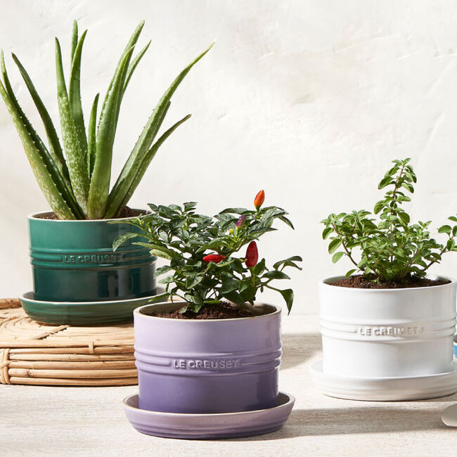 le creuset planter pot Le Creuset Herb Planter
