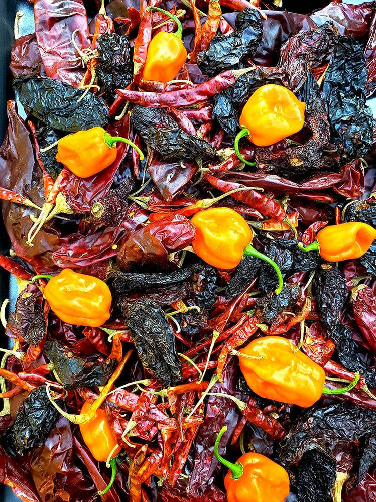 Rhed's Hot Sauce Morita Hot Sauce, 5 oz