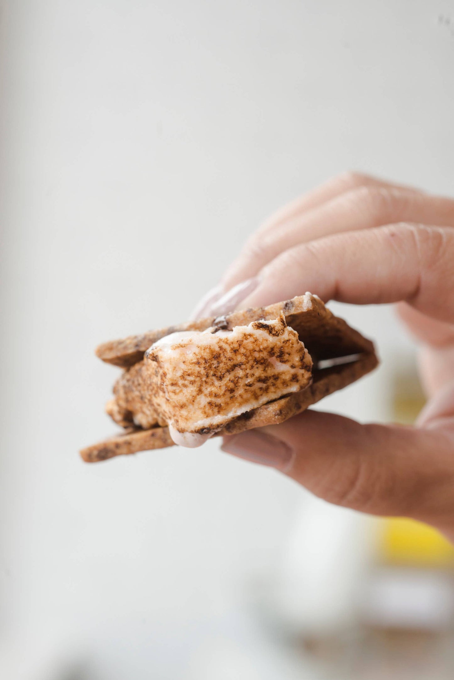 Hudson Valley Marshmallow Company Chocolate Chip Graham Crackers
