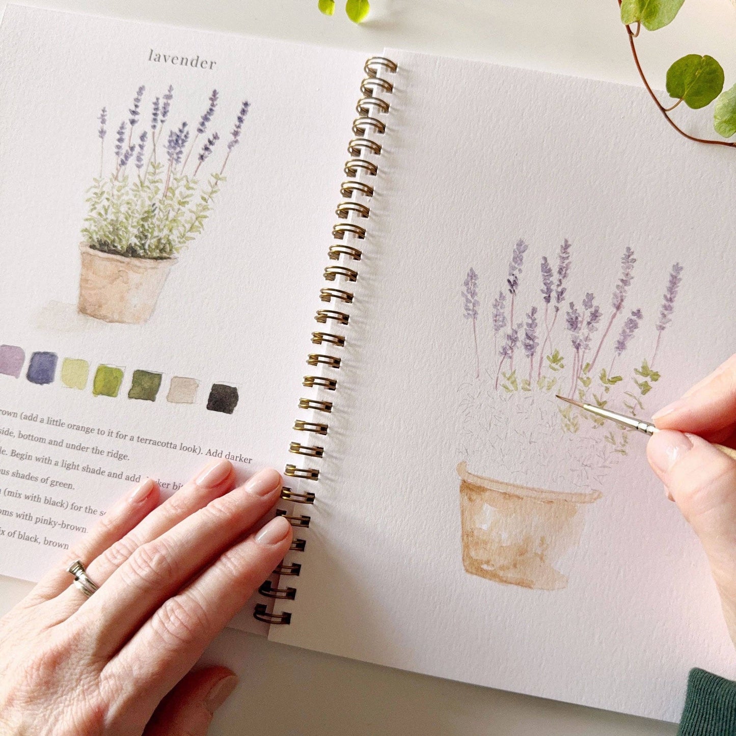 emily lex studio Garden Watercolor Workbook