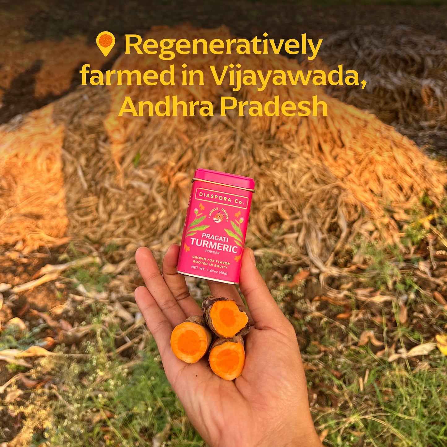 Diaspora Spice Co. - Pragati Turmeric (Powder) - Single-Origin Spice