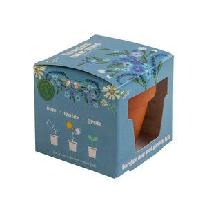 Buzzy Seeds Mini Pot Grow Kit, Forget-Me-Not