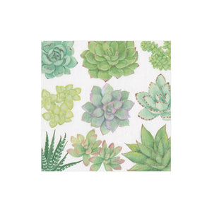 Caspari Succulents Cocktail Napkins, Set of 20