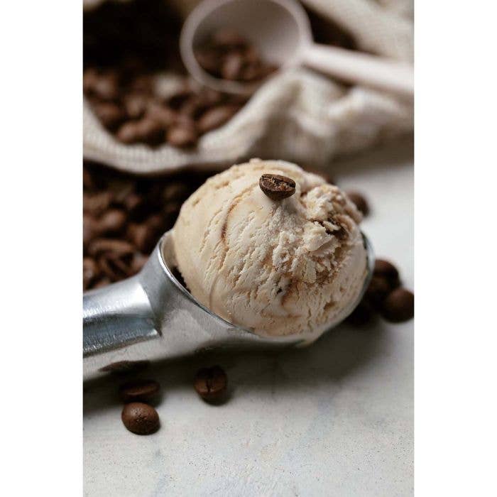 HIC - Harold Import Co. - HIC Kitchen Anti Freeze Ice Cream Scoop