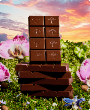 Alice Mushrooms Happy Ending Mushroom Chocolate for Arousal