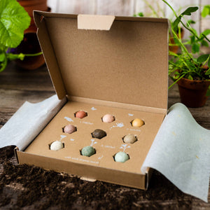 Blossombs Medium Box, Flowers For You, 9 Blossombs