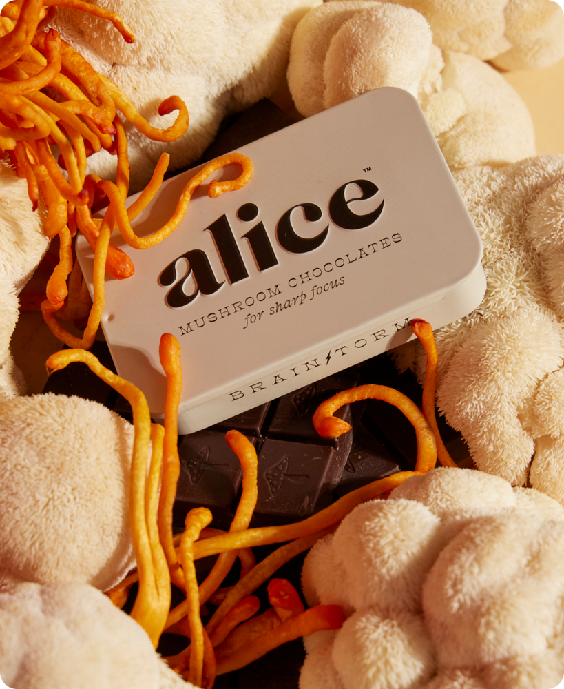 Alice Mushrooms Brainstorm Mushroom Chocolate for Focus