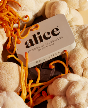 Alice Mushrooms Brainstorm Mushroom Chocolate for Focus
