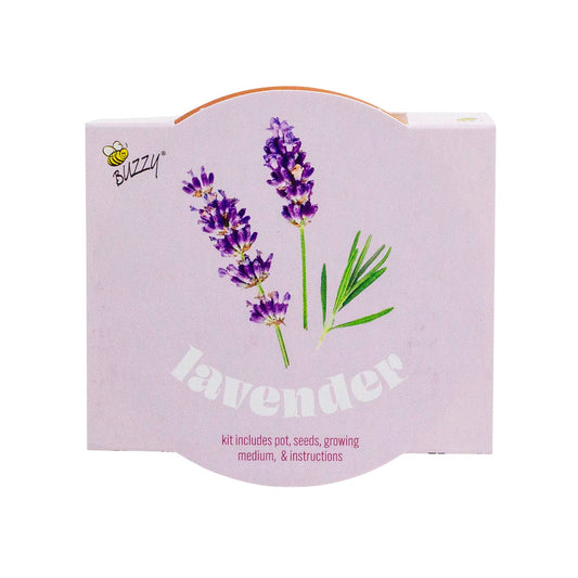 Buzzy Seeds Classic Terra Cotta Grow Kit, Lavender