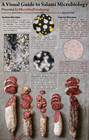 Foris Extraordinary Meats (North Country Charcuterie) - Fino Salami