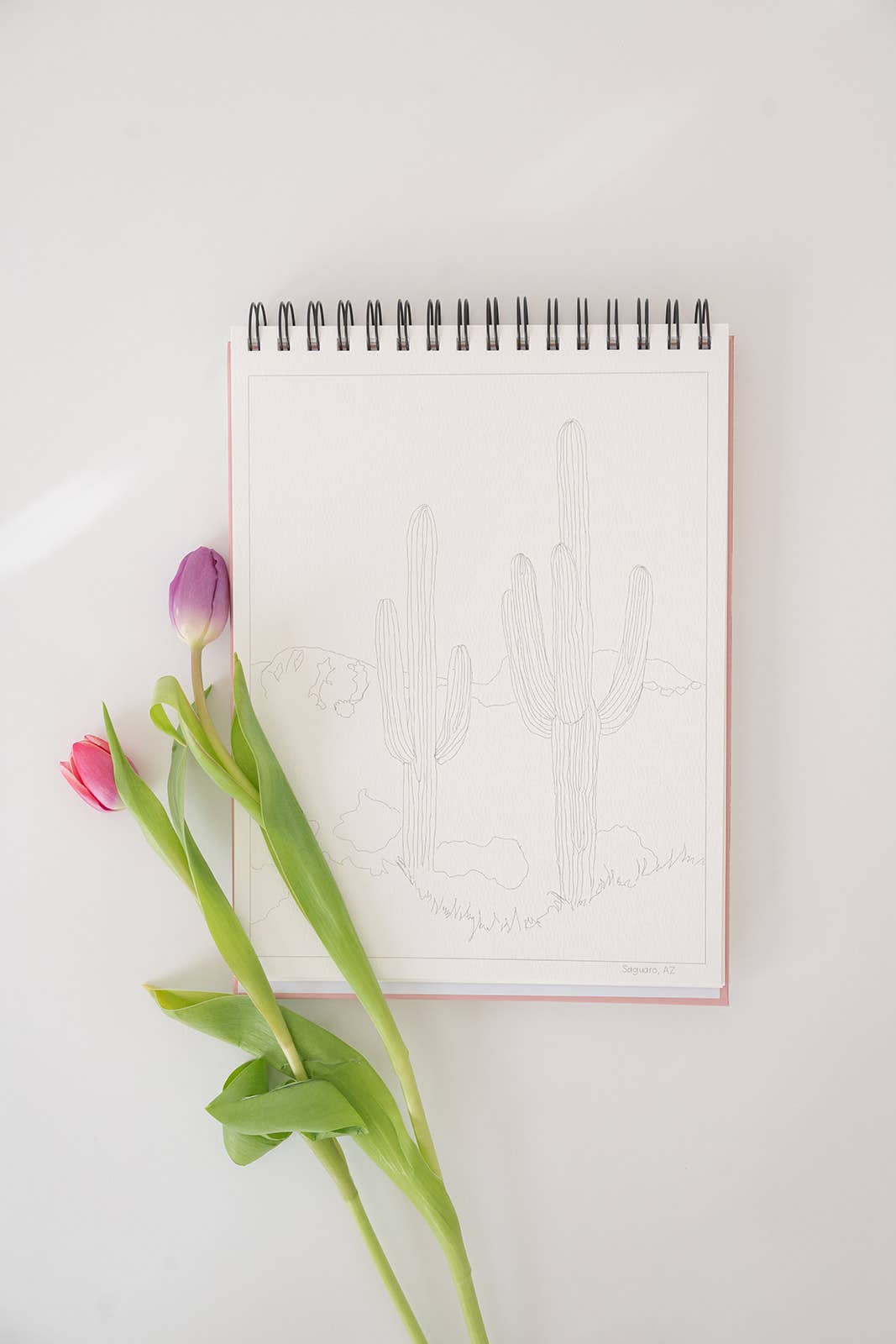 Bailey Rae Studio National Parks Watercoloring Book
