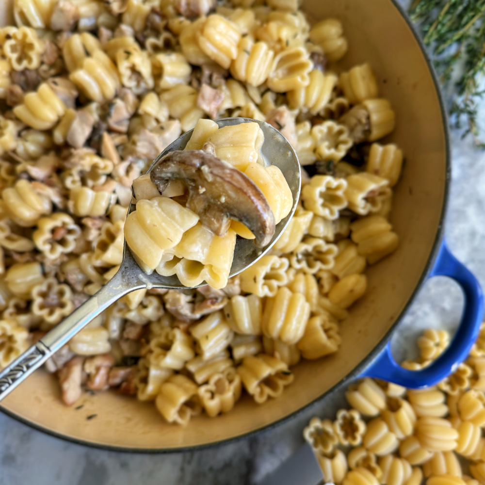 Sfoglini Zucca Pasta, Organic Durum Semolina