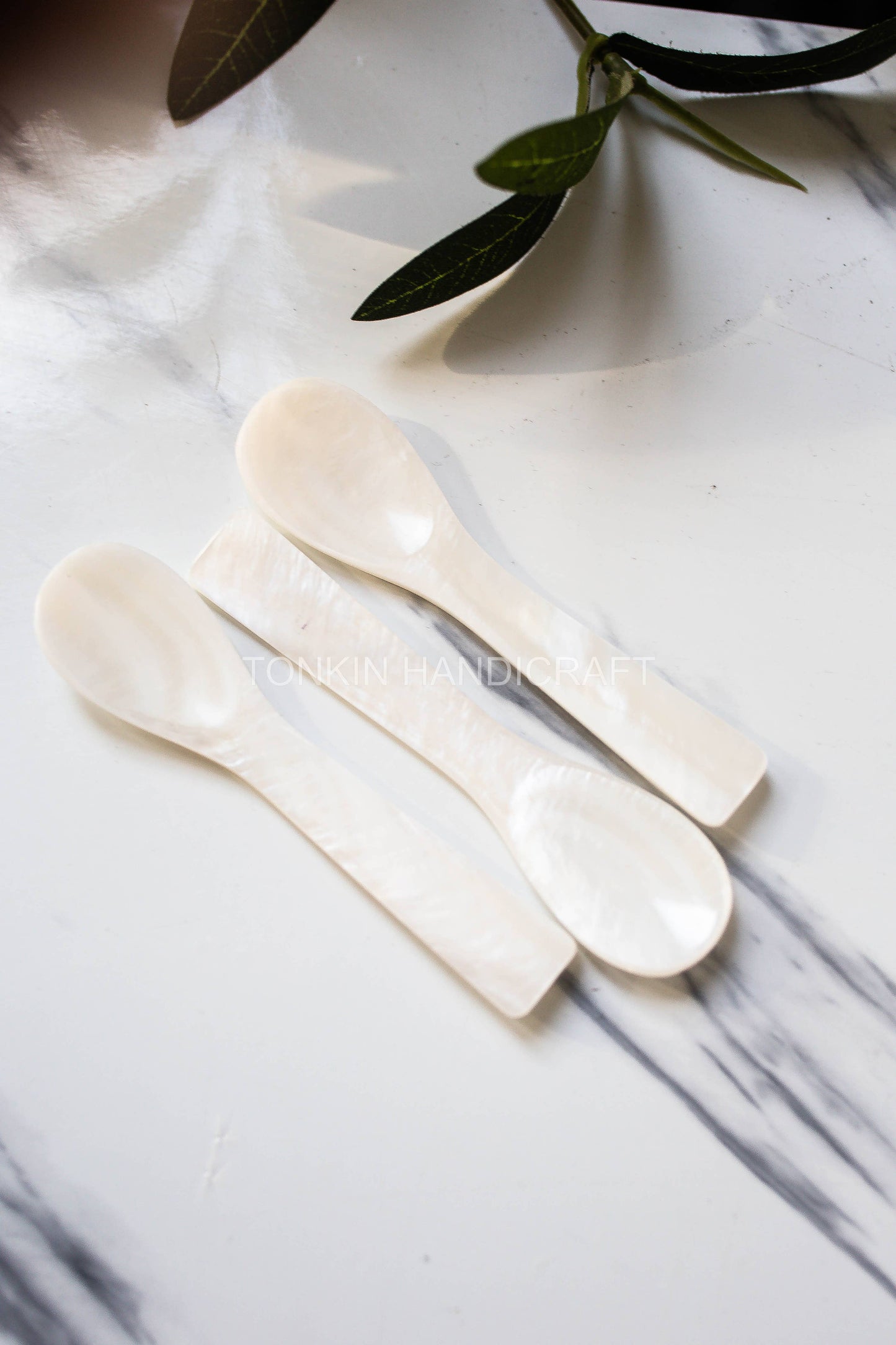 Seashell Spoon, 2.75”