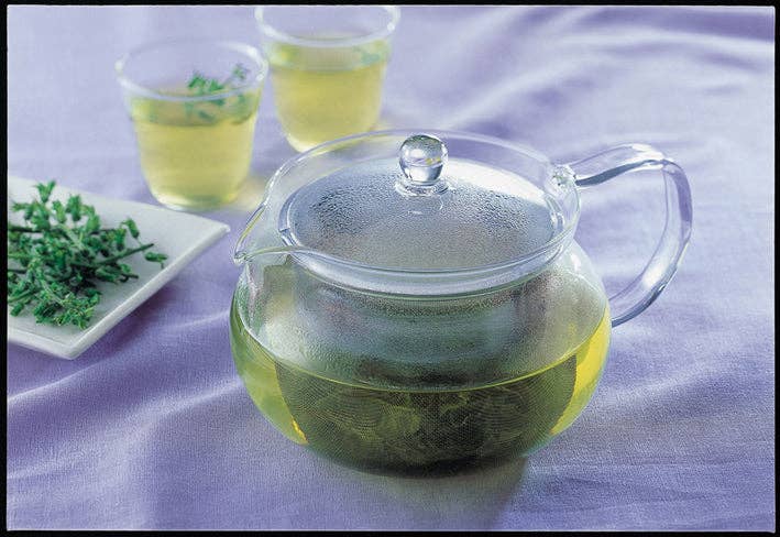 Hario Cha Cha Kyusu Maru - Heatproof Glass Tea Pot