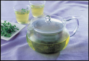 Hario Cha Cha Kyusu Maru - Heatproof Glass Tea Pot