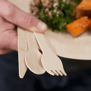 bambu® - Disposable Bamboo Knife, Fork, and Spoon Set
