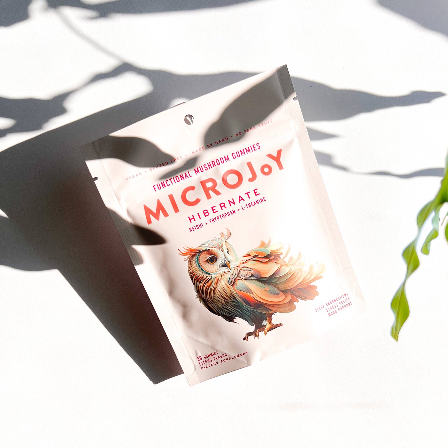 Microjoy Hibernate Mushroom Gummies