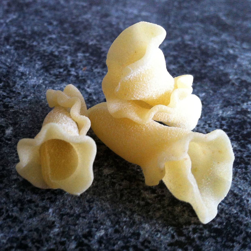 Sfoglini Trumpets Pasta, Organic Durum Semolina Pasta