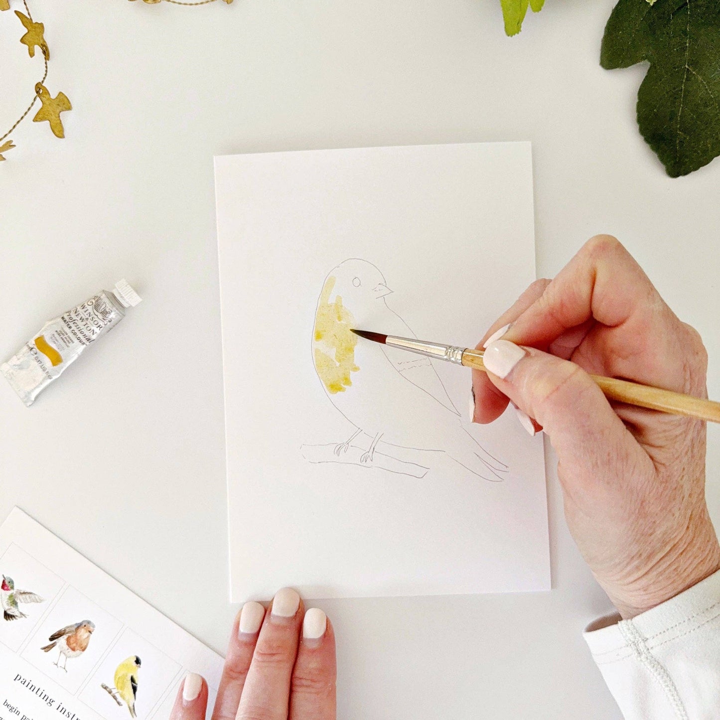 emily lex studio Backyard Birds Paintable Watercolor Notecard Set