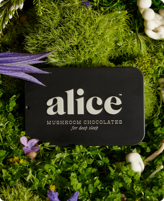 Alice Mushrooms Nightcap Mushroom Chocolates for Deep Sleep