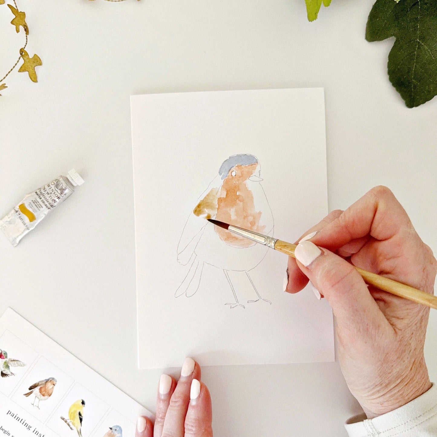 emily lex studio Backyard Birds Paintable Watercolor Notecard Set