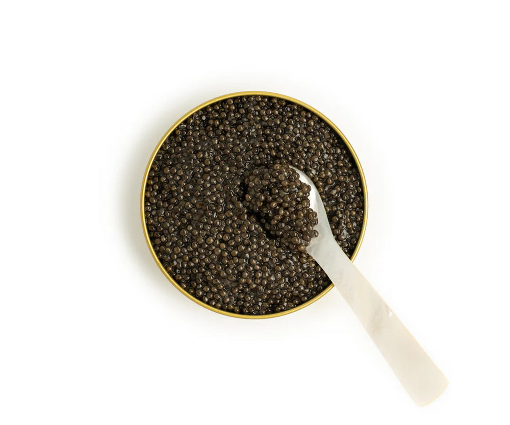 Island Creek Panchenko Osetra Caviar, Tbilsi Georgia, 30g