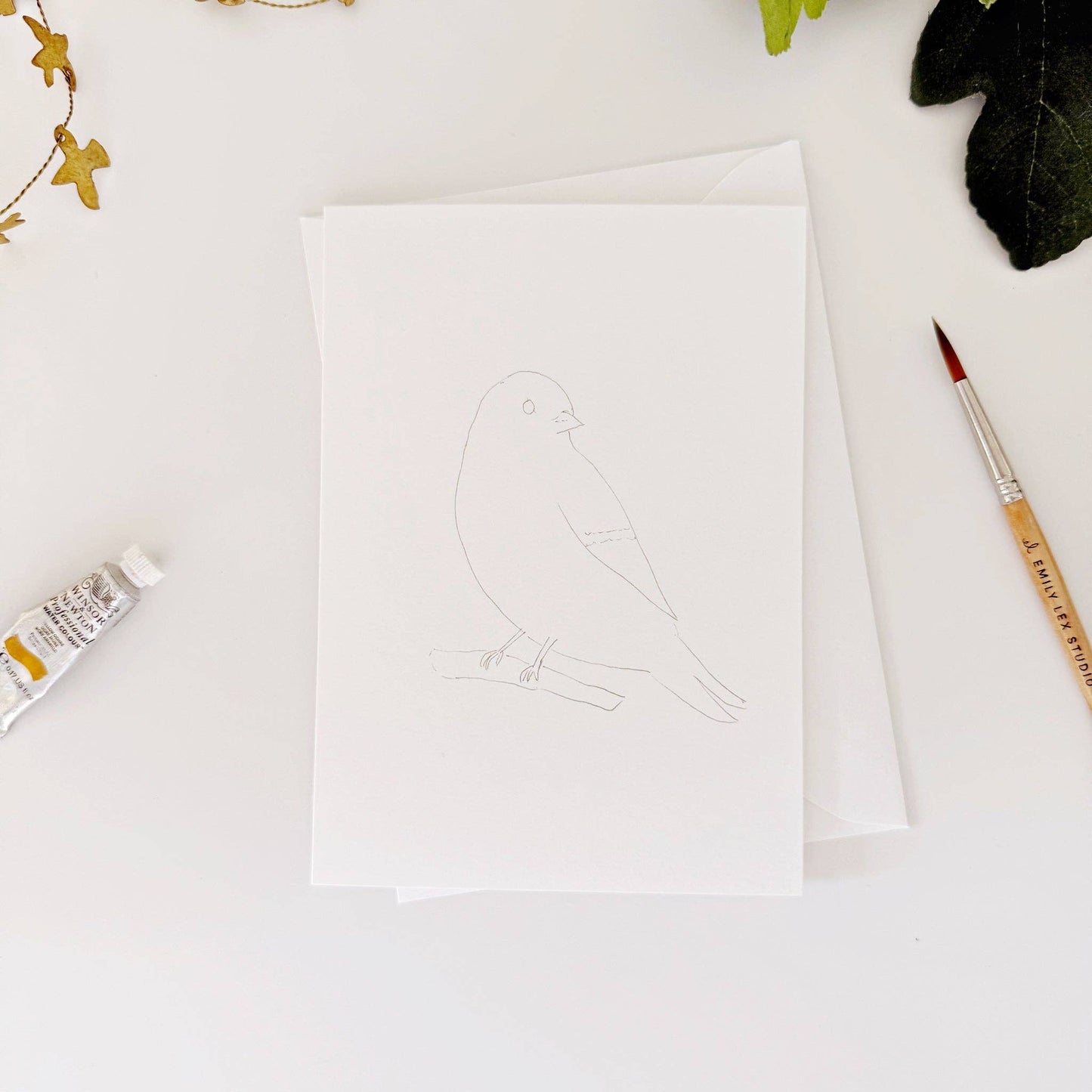 emily lex studio Backyard Birds Paintable Watercolor Notecard Set