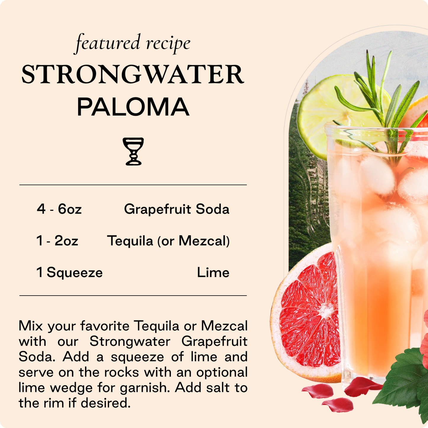 Strongwater Grapefruit Soda, 4 Pack