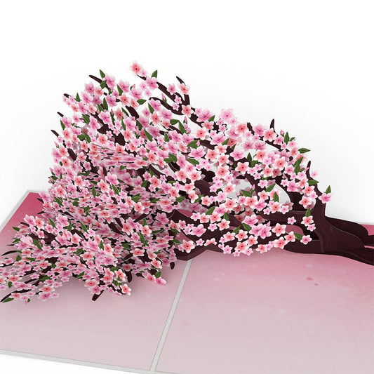 Lovepop Cherry Blossom Branches in Bloom Pop-Up Card