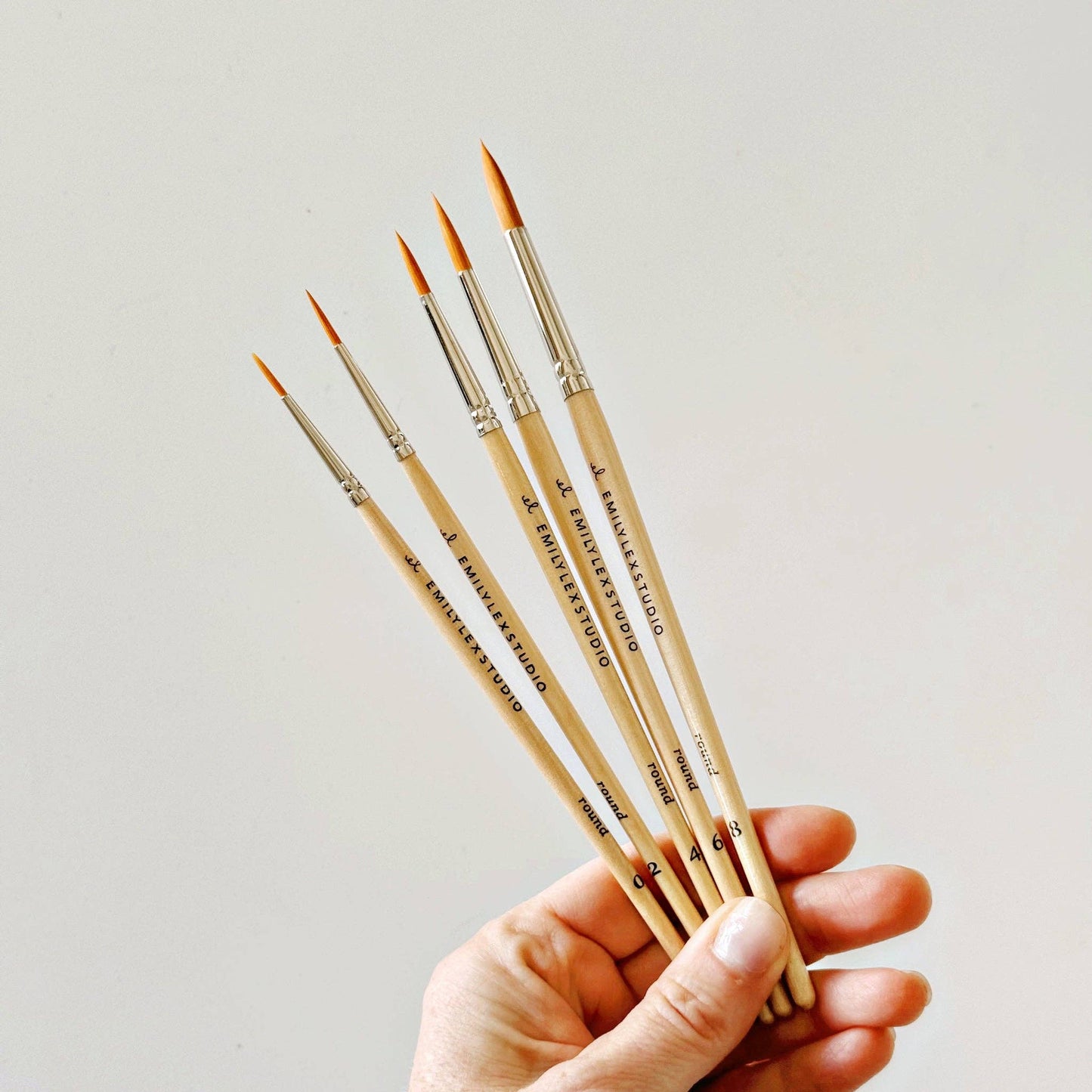 emily lex studio Watercolor Paintbrush Set of Five
