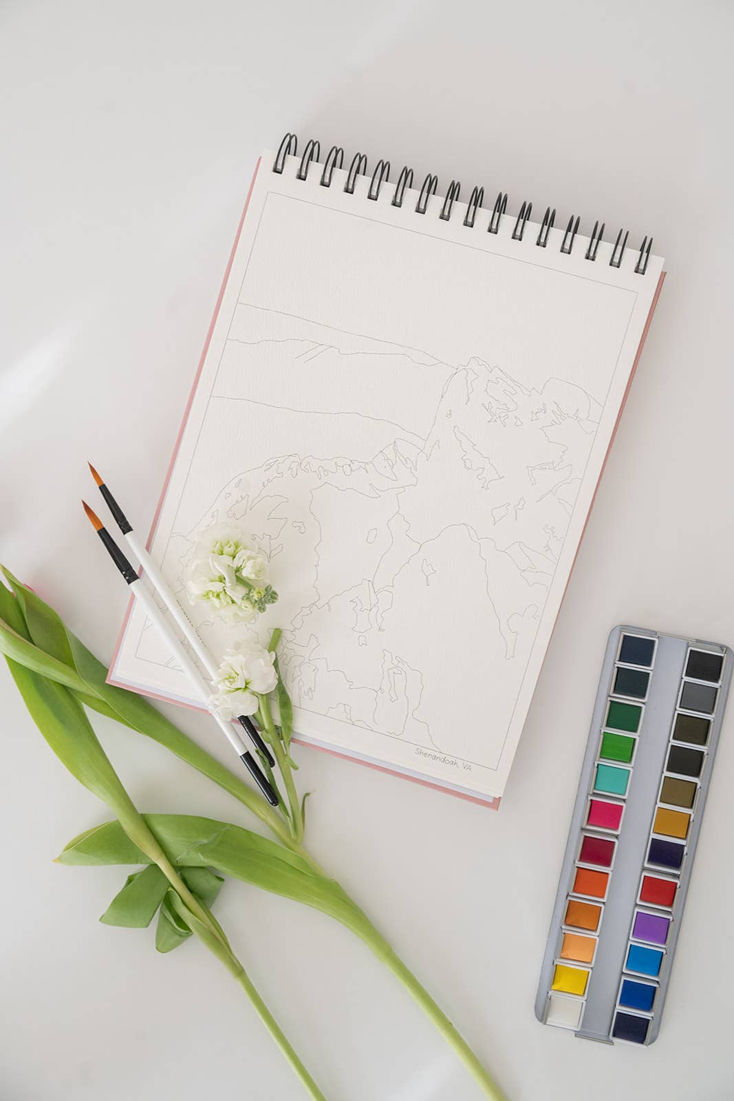 Bailey Rae Studio National Parks Watercoloring Book