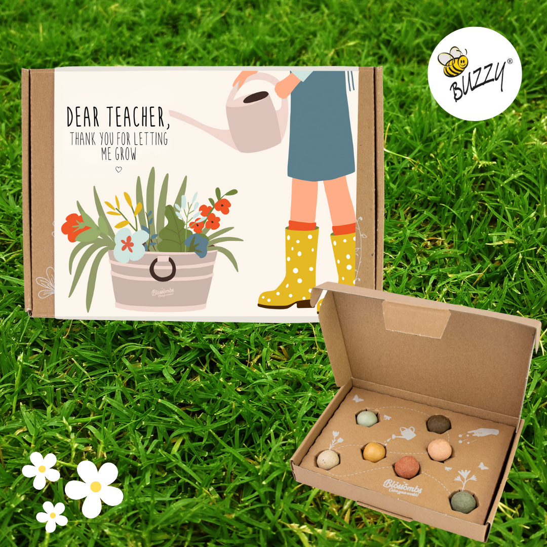 Blossombs Small Box - Dear Teacher, 7 Seed Bomb Balls