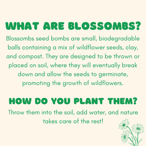 Blossombs Medium Box, Flowers For You, 9 Blossombs