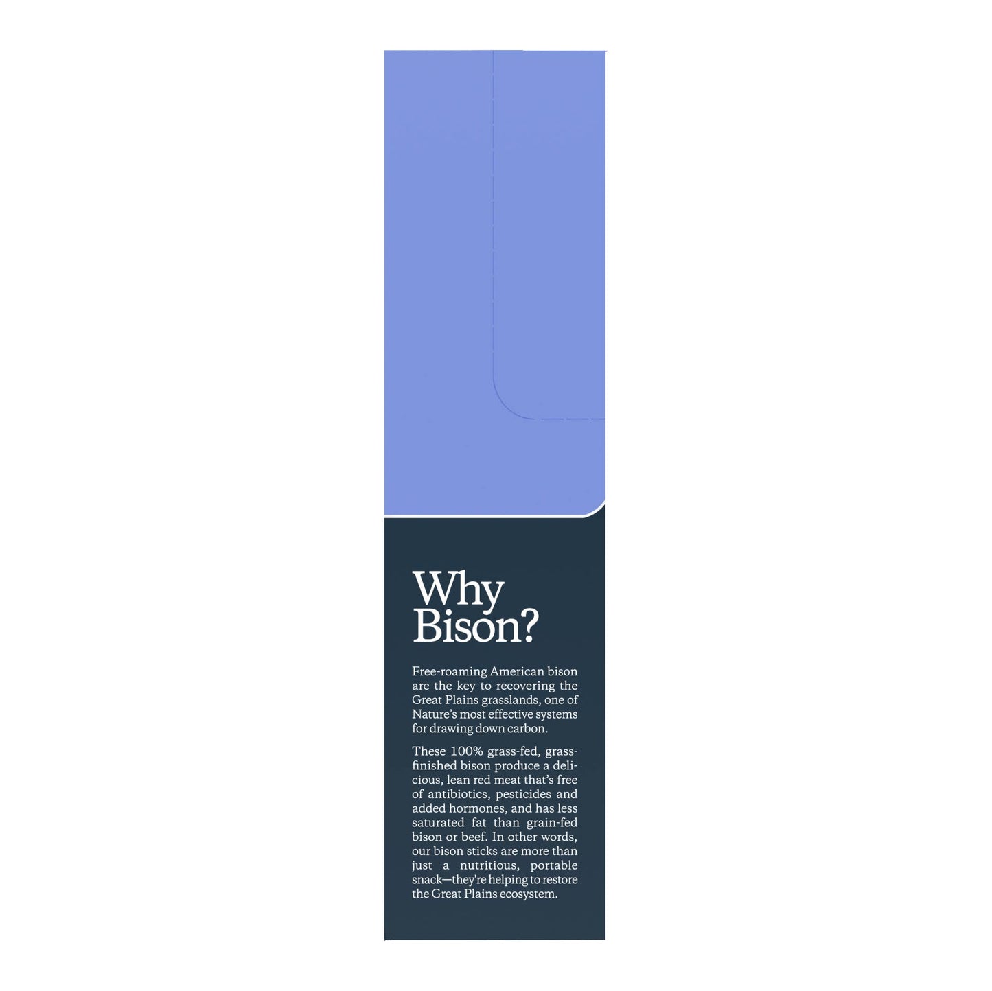 Patagonia Provisions Bison Sticks - Original