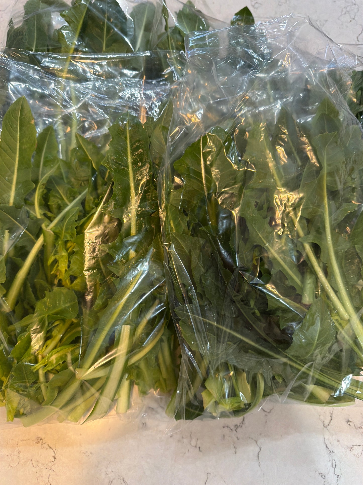 Bountiful Blessings Dandelion Greens, 6 oz