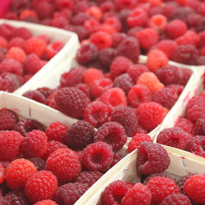 Blake Hill Preserves Raspberry Mostarda