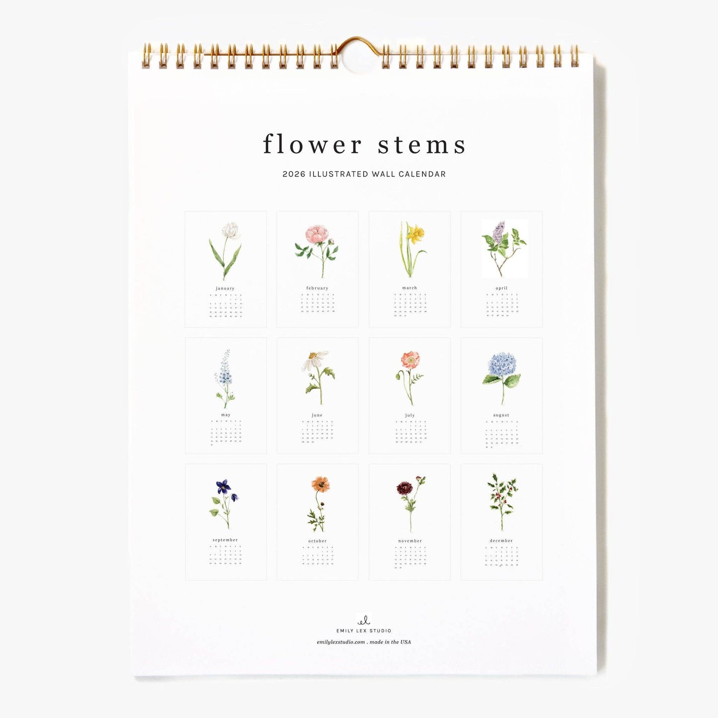 emily lex studio 2026 Flower Stems Calendar