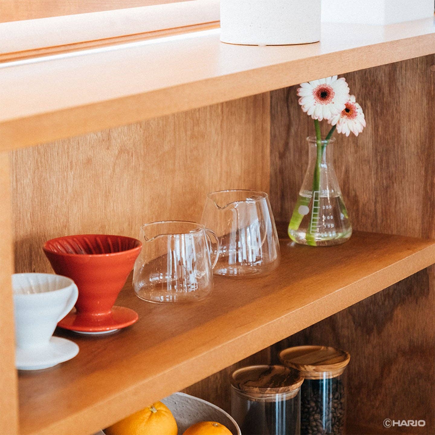 Hario V60 Barista Server