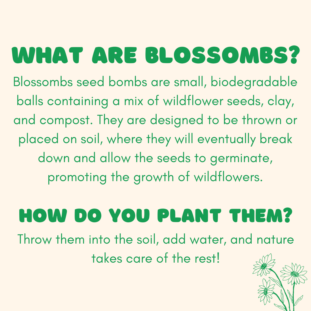 Blossombs Small Box - Dear Teacher, 7 Seed Bomb Balls