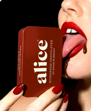 Alice Mushrooms Happy Ending Mushroom Chocolate for Arousal