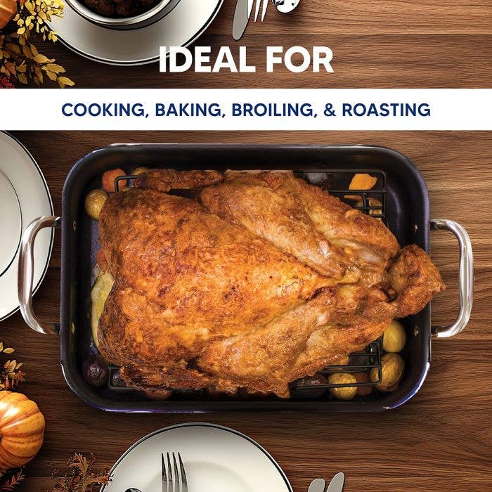 Non-Stick Pro V Wire Roasting Rack