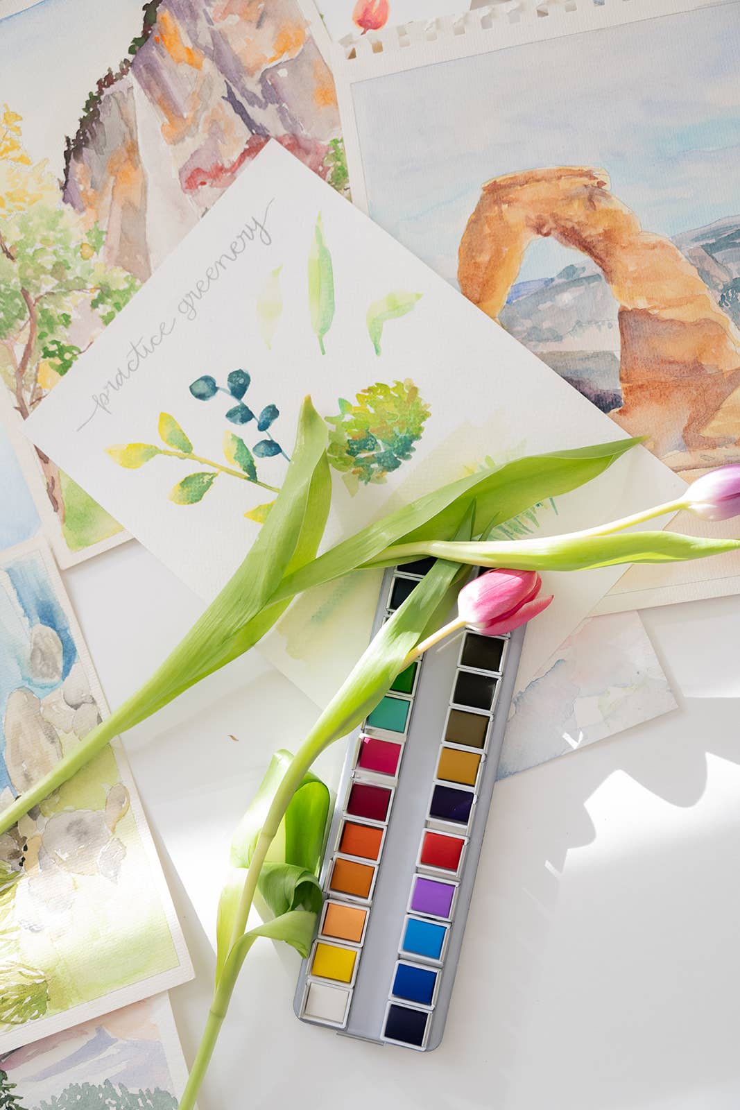 Bailey Rae Studio National Parks Watercoloring Book
